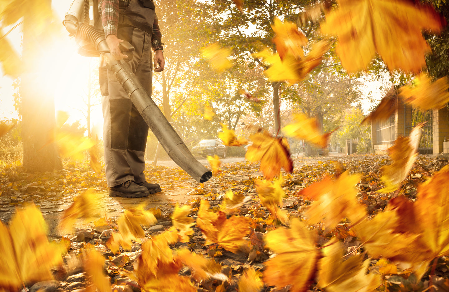 Lawn Maintenance