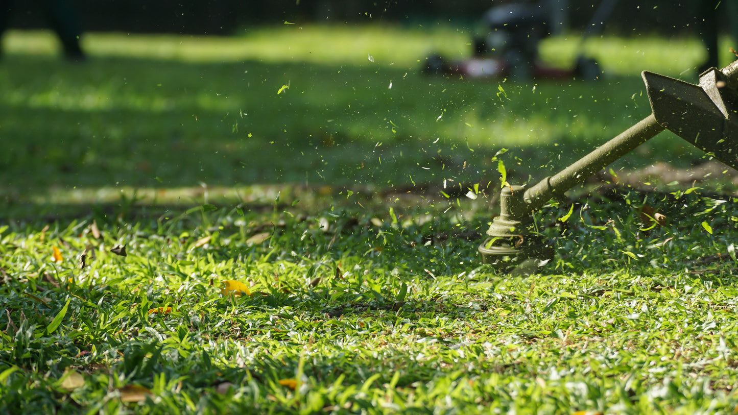 Lawn Maintenance