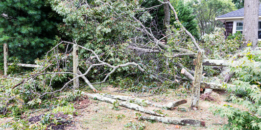 Yard Clean-ups