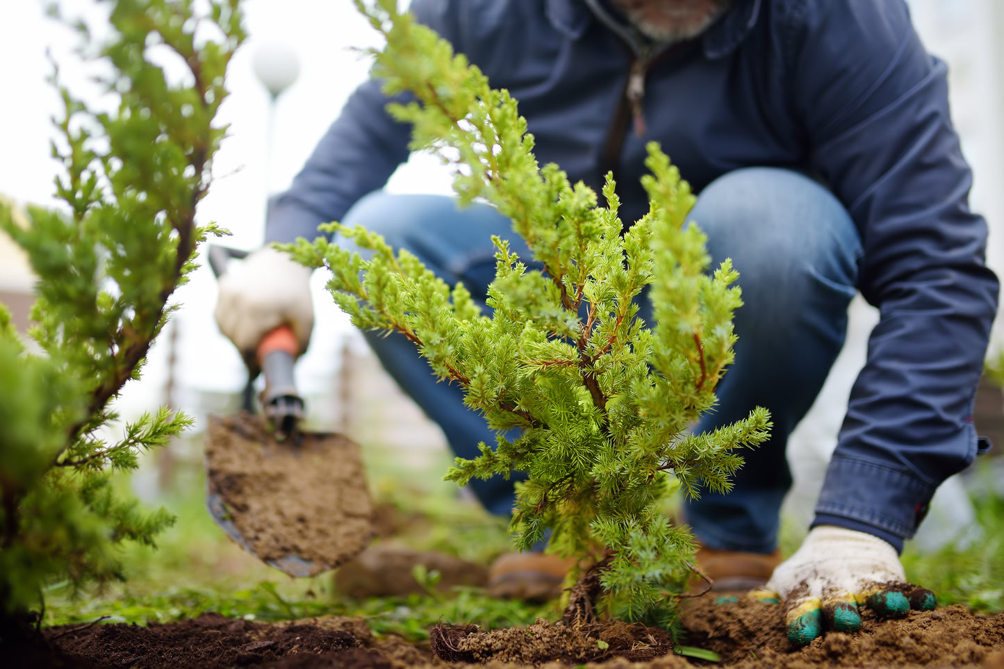 Plants Installations and Landscape Projects