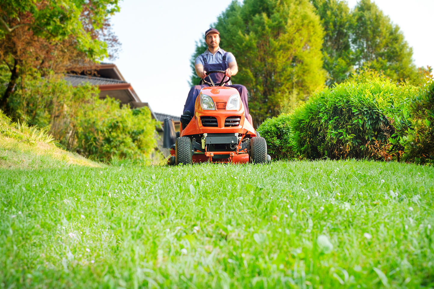 Lawn Maintenance